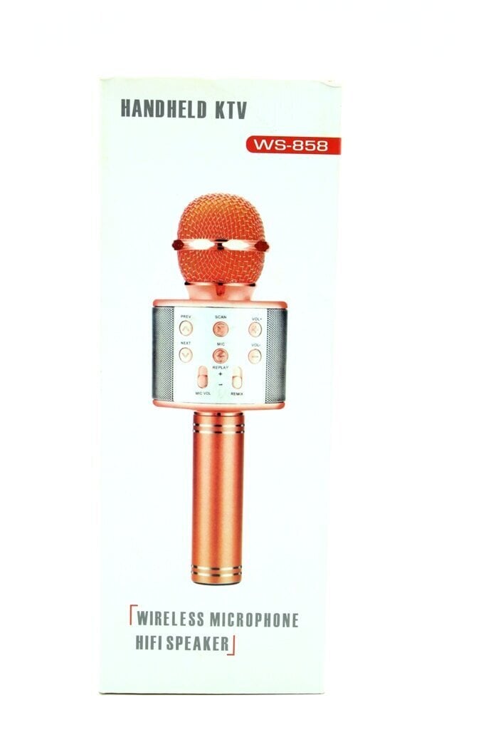 Mikrofoni karaoke WS-858 hind ja info | Mikrofonid | kaup24.ee