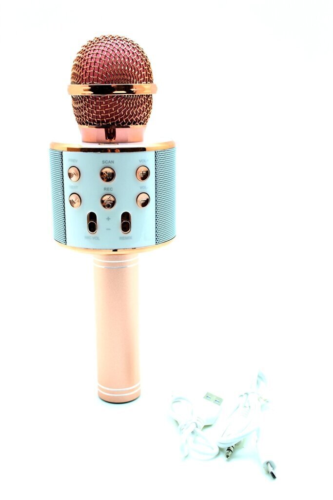 Mikrofoni karaoke WS-858 цена и информация | Mikrofonid | kaup24.ee