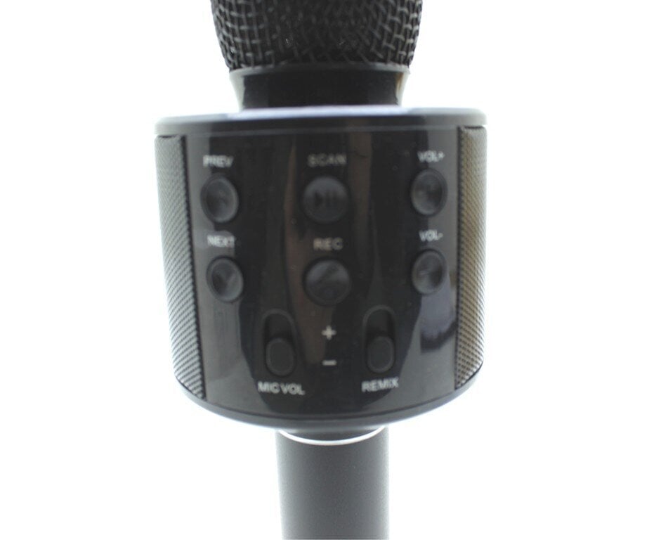 Mikrofoni karaoke WS-858 hind ja info | Mikrofonid | kaup24.ee