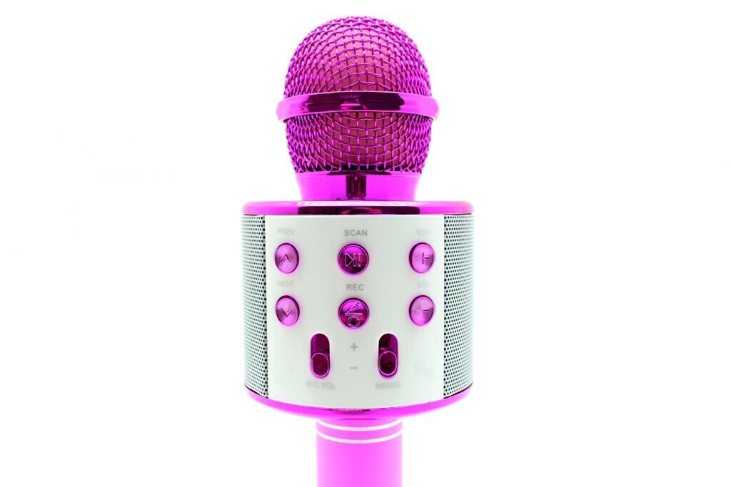 Mikrofoni karaoke WS-858 цена и информация | Mikrofonid | kaup24.ee