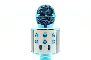 Mikrofoni karaoke WS-858 hind ja info | Mikrofonid | kaup24.ee