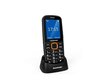 Blaupunkt BS 04, Black/Orange цена и информация | Telefonid | kaup24.ee