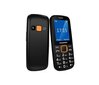 Blaupunkt BS 04, Black/Orange цена и информация | Telefonid | kaup24.ee