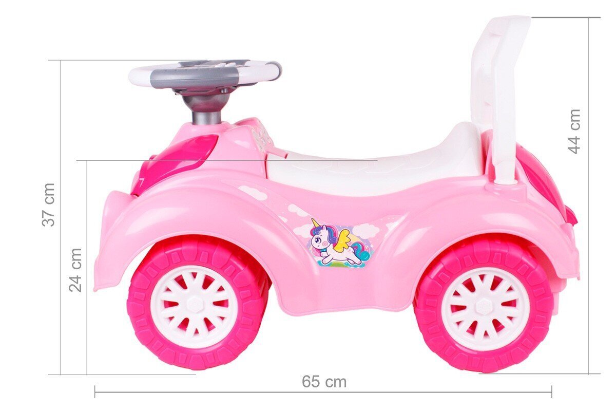 Tõukeauto helidega hind ja info | Imikute mänguasjad | kaup24.ee