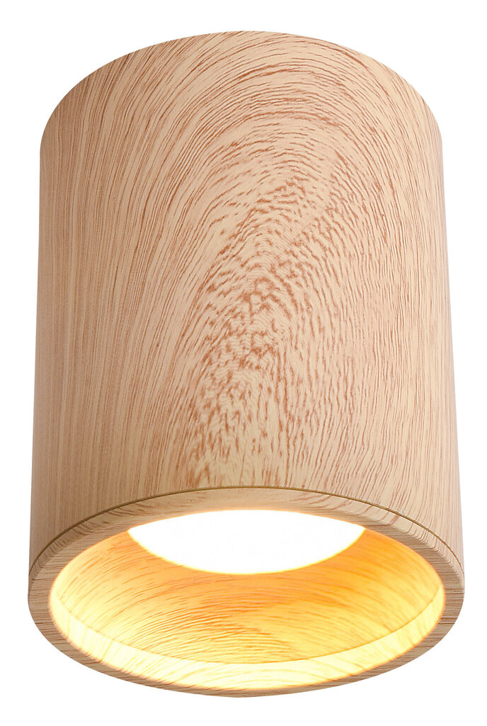 Laevalgusti Candellux Tuba hind ja info | Laelambid | kaup24.ee