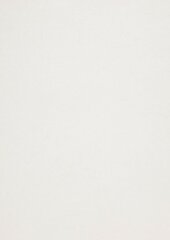 Paber Curious Metallic A4 120г IceSilver 408166 hind ja info | Vihikud, märkmikud ja paberikaubad | kaup24.ee