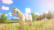 PlayStation 4 Mäng Unicorn Princess hind ja info | Arvutimängud, konsoolimängud | kaup24.ee