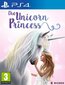 PlayStation 4 Mäng Unicorn Princess цена и информация | Arvutimängud, konsoolimängud | kaup24.ee