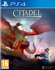 PS4 Citadel: Forged With Fire цена и информация | Компьютерные игры | kaup24.ee