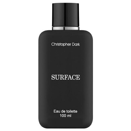Tualettvesi Christopher Dark Surface EDT meestele 100 ml цена и информация | Meeste parfüümid | kaup24.ee