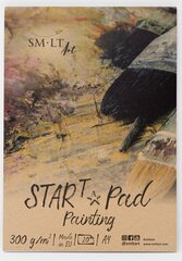 Painting pad  START "SMLT" A4, 20 lh,300gsm цена и информация | Тетради и бумажные товары | kaup24.ee