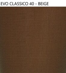 Женские колготки Favorite Evo Classico 40 ден 41124 beige цена и информация | Kолготки | kaup24.ee