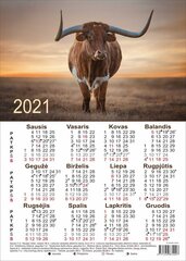 Kalender A3 formaadis hind ja info | Kalendrid, märkmikud | kaup24.ee