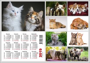 Väike kalender 2021 a. hind ja info | Kalendrid, märkmikud | kaup24.ee