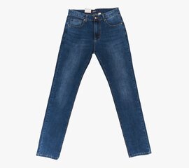 Мужские джинсы цена и информация | Мужские джинсы | kaup24.ee