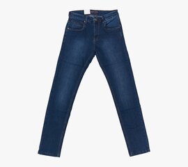 Мужские джинсы цена и информация | Мужские джинсы | kaup24.ee