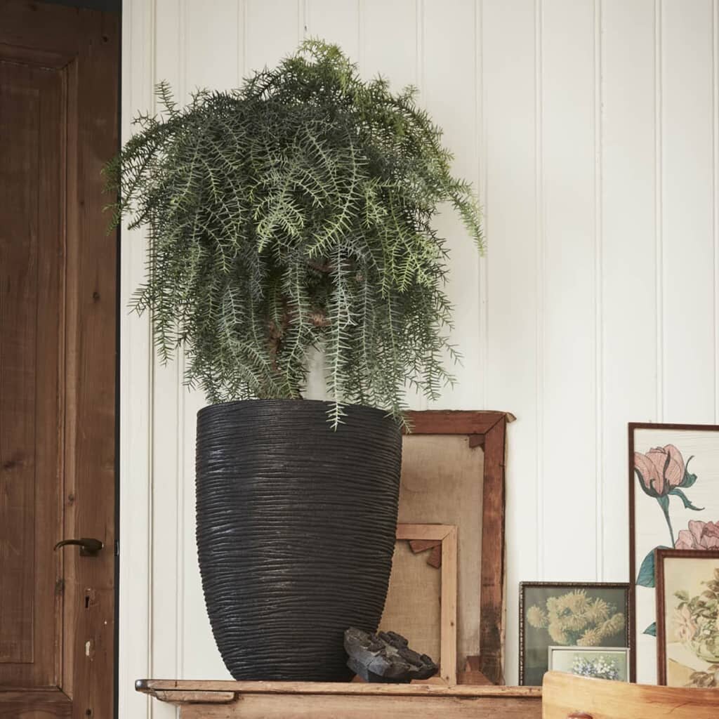 Capi vaas "Nature Rib" elegantne, madal, 36 x 47 cm, must цена и информация | Dekoratiivsed lillepotid | kaup24.ee