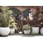 Capi munakujuline taimekast "Nature Row" 43 x 41 cm elevandiluu värvi hind ja info | Dekoratiivsed lillepotid | kaup24.ee