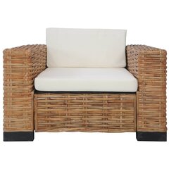 Кресло с подушками, коричневый цвет цена и информация | Уличные cтулья | kaup24.ee