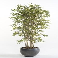 Emerald kunsttaim Jaapani bambus 150 cm hind ja info | Kunstlilled | kaup24.ee