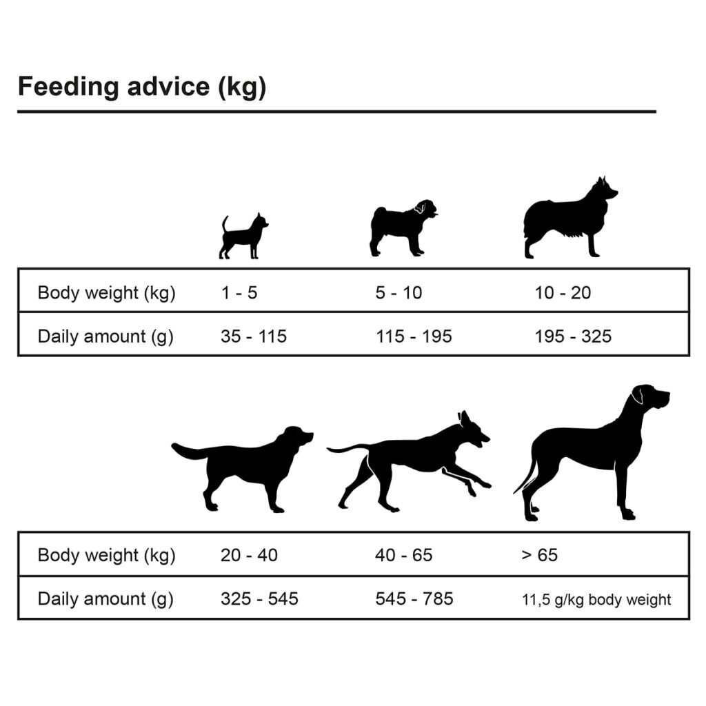 vidaXL Premium koerte kuivtoit "Adult Sensitive Lamb & Rice" 15 kg hind ja info | Kuivtoit koertele | kaup24.ee