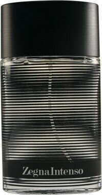 Tualettvesi Ermenegildo Zegna Intenso EDT meestele 50 ml hind ja info | Meeste parfüümid | kaup24.ee