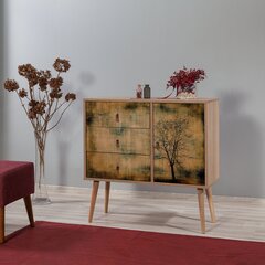 Kummut Kalune Design Dresser 3412, tamme värv/mitmevärviline цена и информация | Комоды | kaup24.ee