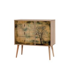 Комод Kalune Design Dresser 3412, цвета дуба/разноцветный цена и информация | Комоды | kaup24.ee