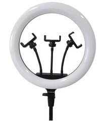 Rõngakujuline LED-lamp, 35cm, 100W hind ja info | Fotovalgustuse seadmed | kaup24.ee