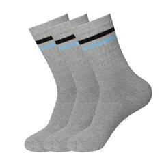 Спортивные носки в комплекте 3 пары Bisoks 11011k l.grey/2 stripes black/light blue цена и информация | Мужские носки | kaup24.ee