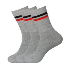 Spordi meeste sokid Bisoks 3p 11011k l.grey/2 stripes black/red цена и информация | Мужские носки | kaup24.ee