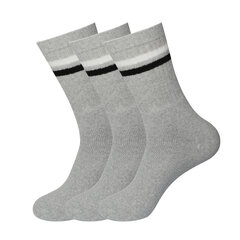 Спортивные носки в комплекте 3 пары Bisoks 11011k l.grey/2 stripes white/black цена и информация | Meeste sokid | kaup24.ee
