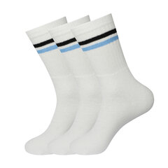 Спортивные носки в комплекте 3 пары Bisoks 11011k white/2 stripes black/light blue цена и информация | Мужские носки | kaup24.ee