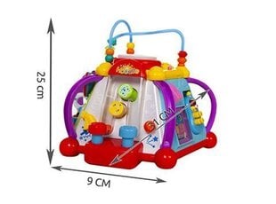 Multifunktsionaalne mänguasi цена и информация | Развивающие игрушки | kaup24.ee