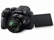 Digikaamera Panasonic Lumix DMC-FZ300, must цена и информация | Fotoaparaadid | kaup24.ee