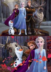 Головоломка Frozen, 2 шт. x 100 частей цена и информация | Пазлы | kaup24.ee