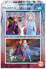 Головоломка Frozen, 2 шт. x 48 деталей цена и информация | Пазлы | kaup24.ee