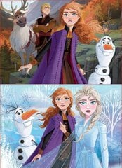 Головоломка Frozen, 2 шт. x 50 деталей цена и информация | Пазлы | kaup24.ee