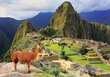 Pusle Machu Picchu, 1000 detaili hind ja info | Pusled | kaup24.ee