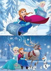 Pusle Frozen, 2 tk x 50 detaili hind ja info | Pusled | kaup24.ee