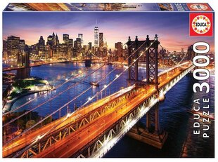Pusle Manhattan, 3000 detaili цена и информация | Пазлы | kaup24.ee