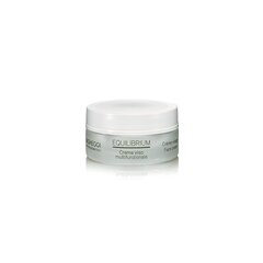 Многофункциональный крем для лица Vagheggi Equilibrium Face Cream, 50 мл цена и информация | Кремы для лица | kaup24.ee