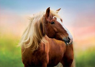 Головоломка Лошадь, 500 деталей цена и информация | Пазлы | kaup24.ee