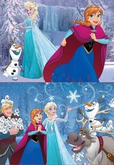 Pusle Frozen, 2 tk x 48 detaili hind ja info | Pusled | kaup24.ee