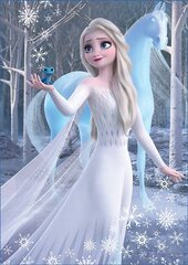 Головоломка Frozen, 2 шт. x 500 деталей цена и информация | Пазлы | kaup24.ee