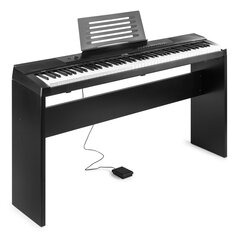 Max KB6W 88-клавишное цифровое пианино с подставкой цена и информация | Max Музыкальные инструменты и аксессуары | kaup24.ee
