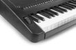 Max KB12P elektrooniline klaviatuur Pro 61-klahviline hind ja info | Klahvpillid | kaup24.ee