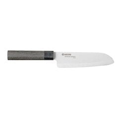 Нож Santoku Kyocera Fuji, 15 см цена и информация | Ножи и аксессуары для них | kaup24.ee