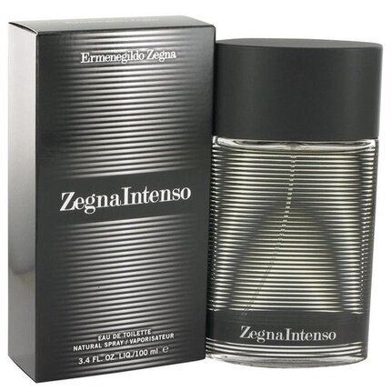 Tualettvesi Ermenegildo Zegna Intenso EDT meestele 100 ml hind ja info | Meeste parfüümid | kaup24.ee