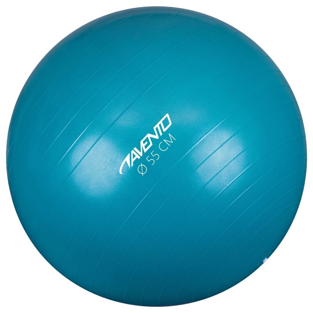 Avento fitness pall 55 cm läbimõõt, hõbedane hind ja info | Võimlemispallid | kaup24.ee